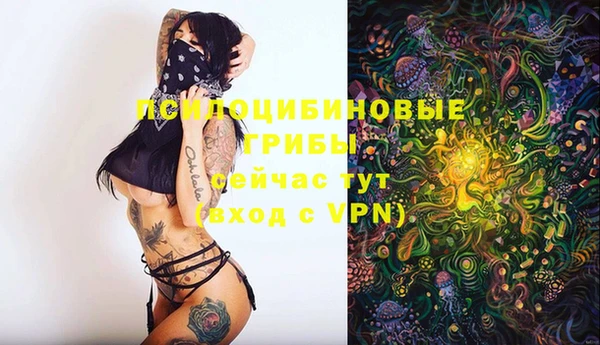 трава Алексин